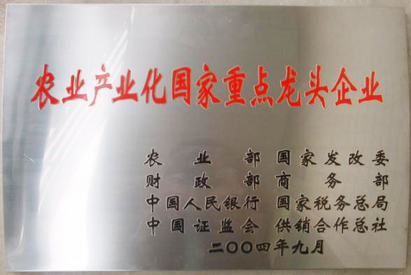 立足過去、放眼未來，白象食品二十三歲生日快樂